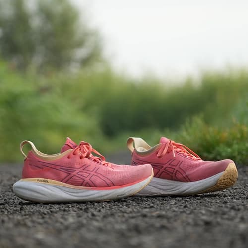 Hardloopschoenen in het bos